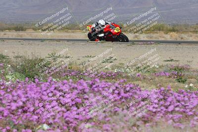 media/Feb-04-2023-SoCal Trackdays (Sat) [[8a776bf2c3]]/Turn 15 Inside Blooming (1050am)/